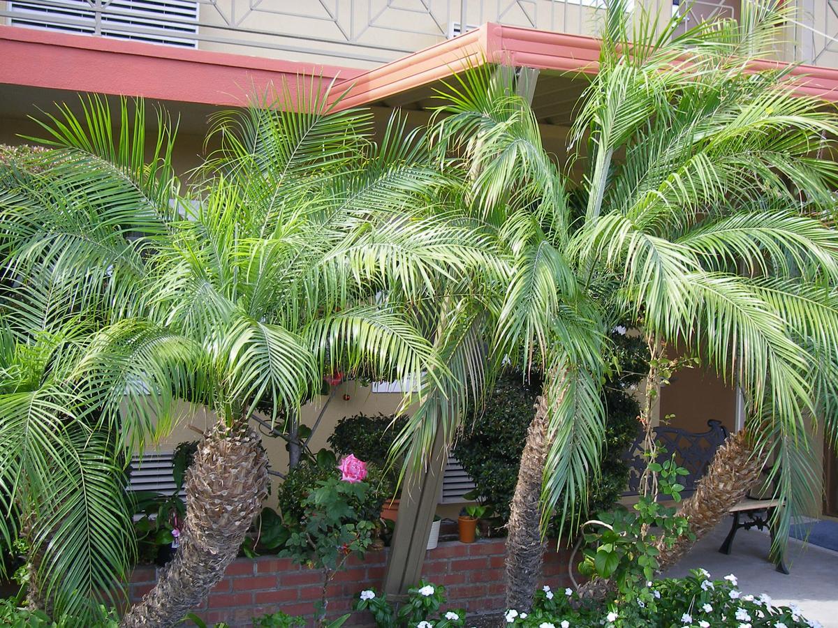 Fullerton Lodge Exterior foto
